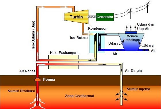 Untuk menghasilkan listrik pembangkit listrik tenaga panas bumi menghasilkan