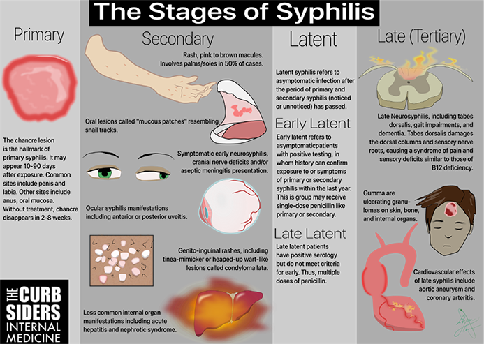 Bakteri yang dapat menyebabkan penyakit sifilis adalah